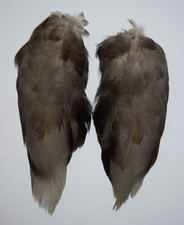 Select Complete set of Bronze