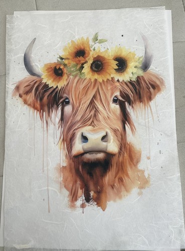 Rice paper for decoupage laser - rice,