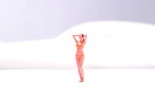 Painted figure model - 1:64,