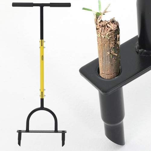 Professional prong grass - 2,