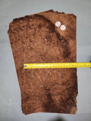 American walnut burr veneer - american,