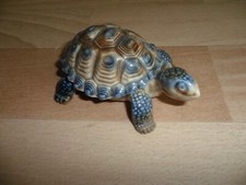 WADE PORCELAIN TORTIOSE