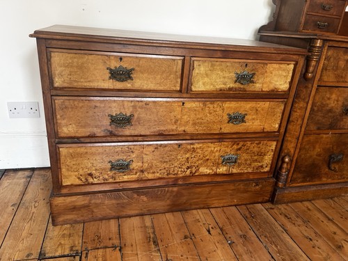 Antique burr walnut - chest, of