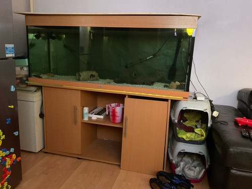 5ft fish tank gravel - fish, light