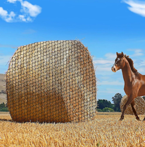 6ft holes grass - 6*6ft,