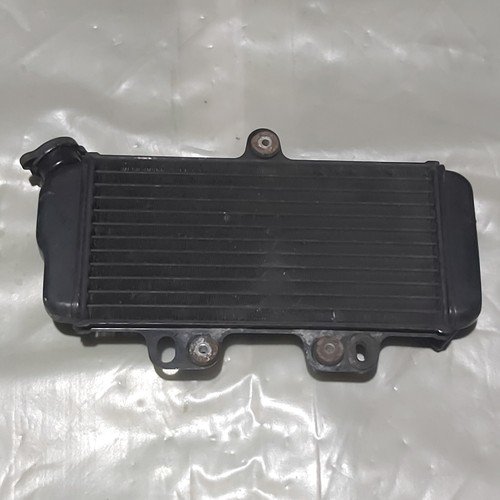 Genuine yamaha tdr125 tdr125r - genuine,