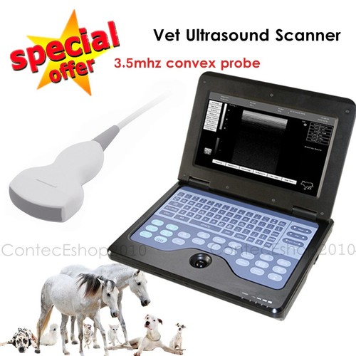 Cms600p2 vet animal ultrasound - animal,