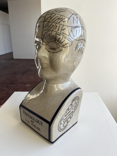 Extra large phrenology - extra, /