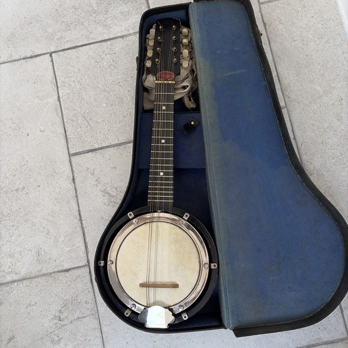 Vintage string banjo - vintage,