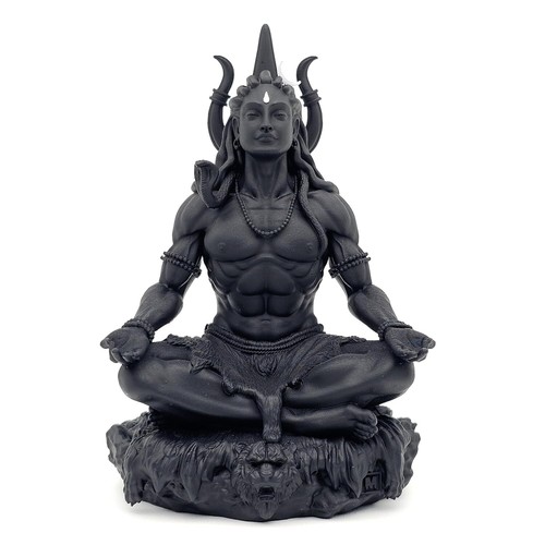 Hindu god mahayogi lord shiva - mahayogi,