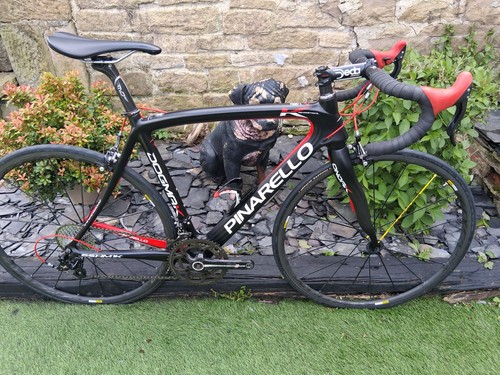 Pinarello dogma 54cm - dogma,