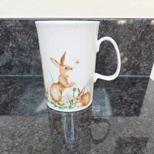 Dunoon china rustic rascals - dunoon,