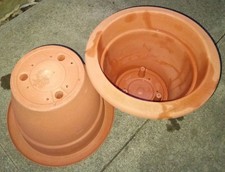 12" Bell Pot