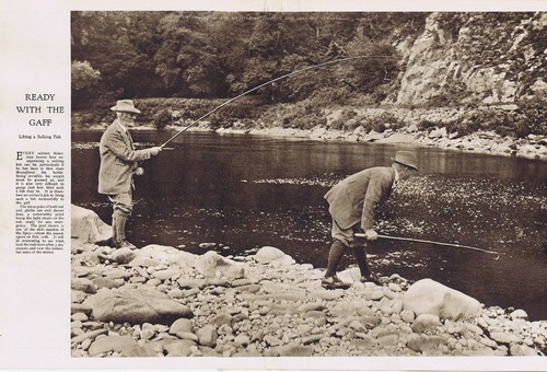 Salmon fishing ready with the - ready,