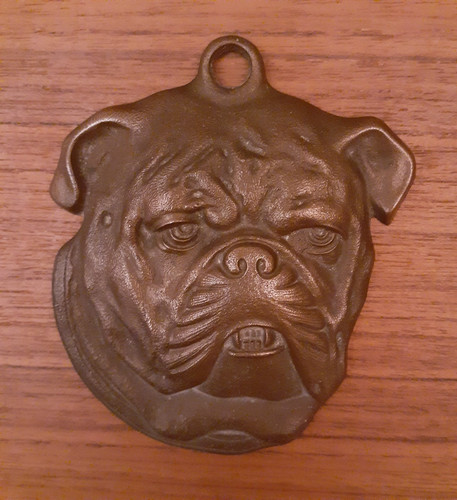 Bull dog head - bull, ~