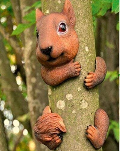 Squirrel tree peeker - squirrel, garden