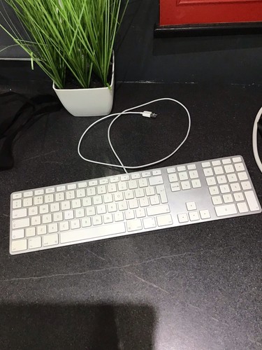 Apple a1243 wired - apple,