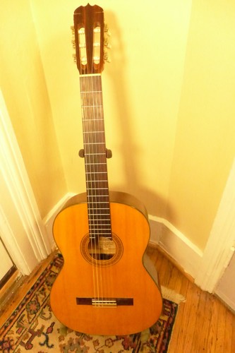 Takamine 128 pro series - takamine, c