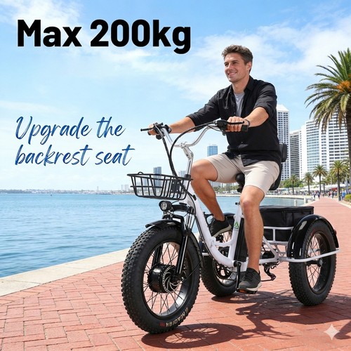 Folding electric tricycle - folding,