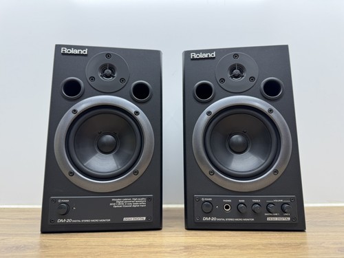 Roland studio monitors - dm-20,