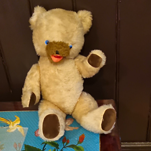 Pedigree teddy bear 1950s 60s - pedigree, 1950s/60s