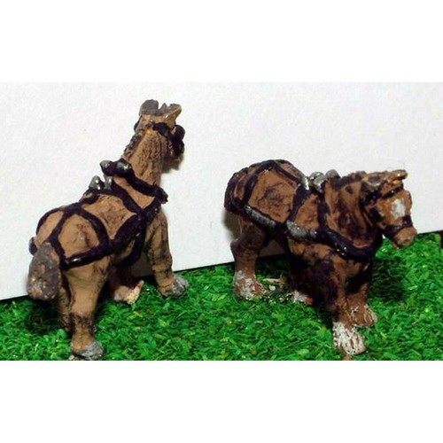 Shire horses with harness n - harness,