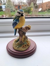 Russell Willis Bluetit