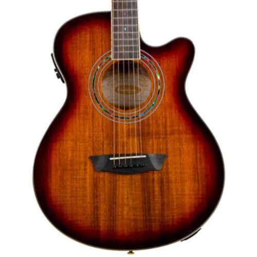 Washburn festival ea55g mini - washburn,