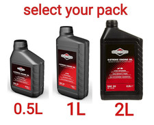 Briggs & Stratton 100004E