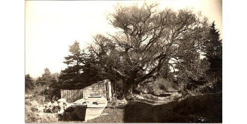 1910s dory boat shed - 1910s, boat-shed