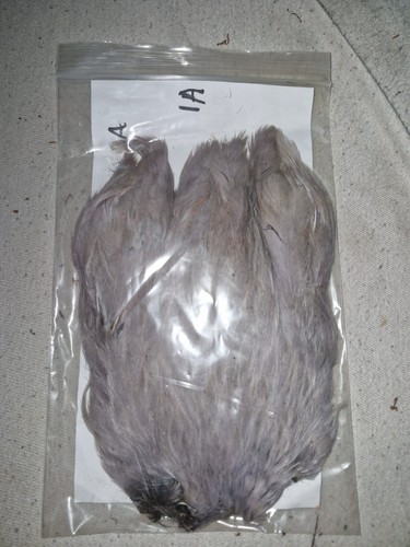 Hen cape fly tying - hen, cape,fly