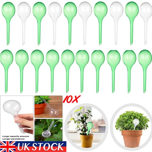 10pcs plant self watering bulb - plant,