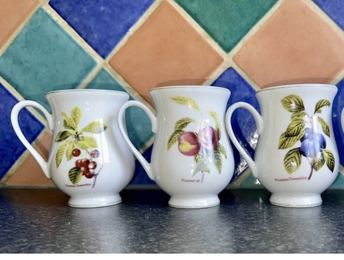 Waterside bone china - waterside, fruit