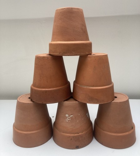 Vintage terracotta plant - vintage, pots