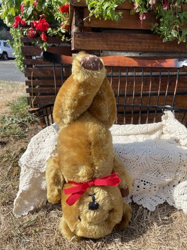 Old antique teddy bear topsy - teddy,