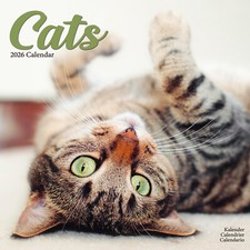 Cats 2026 Calendar Gift Wall 15% OFF MULTI ORDERS
