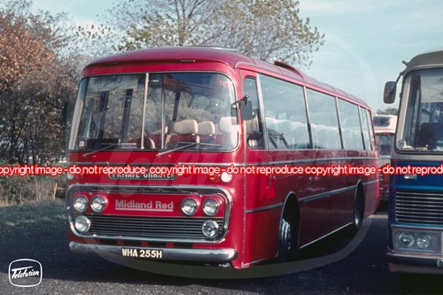 Coach photo midland red - -,