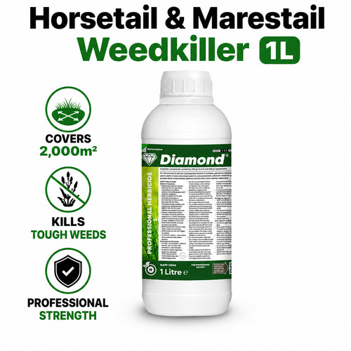 Diamond horsetail marestail - diamond,