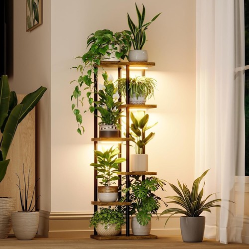 Plant shelf with - plant,