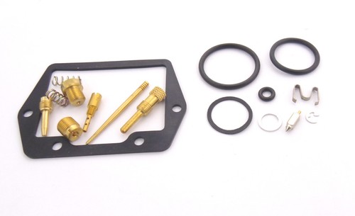 Carburetor repair kit - kit, for