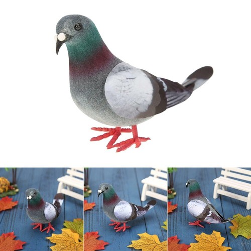 Realistic pigeon artificial - pigeon,