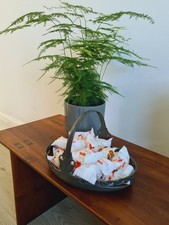 Liberty & Co Archibold Knox Tudric English Pewter Basket Cake Treat Bowl Rare 