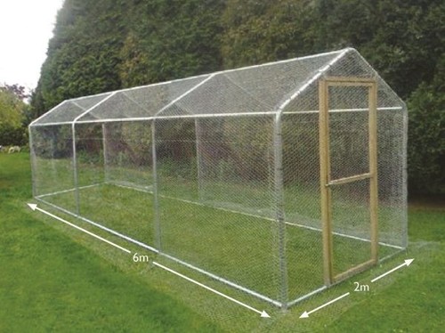 Walk chicken run steel - chicken,