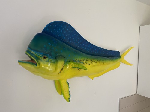 Mahi mounted fish replica - mahi,