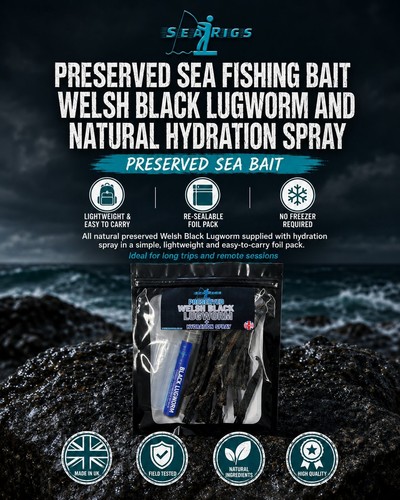 Preserved sea fishing - sea, bait