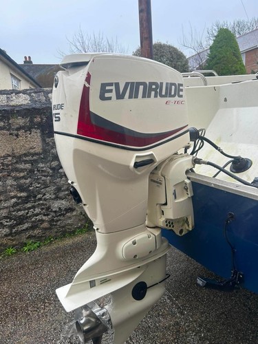 2019 evinrude 75hp - e-tec, 2