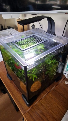 Lid feed cover for fluval - cover,