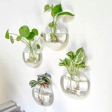 Wall hanging glass terrarium - hanging,