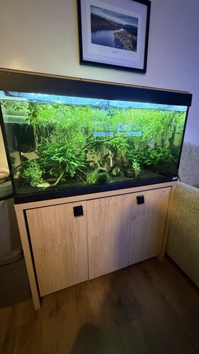 Fluval roma 200 - roma, aquarium