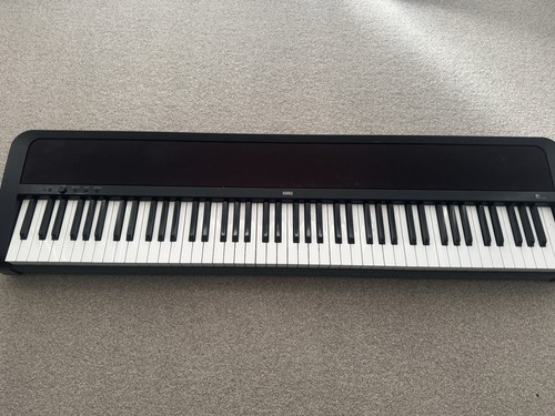 Korg piano with bag and - korg,